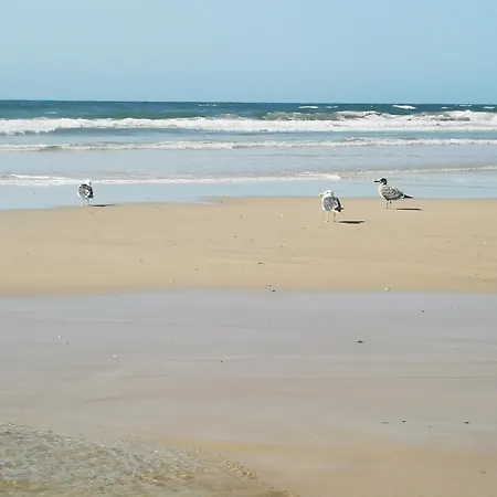 Nid D'amour Pour 2 Personnes Lägenhet Cabanas De Tavira